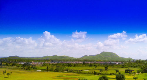 Panoramic view of agricultural field against blue sky