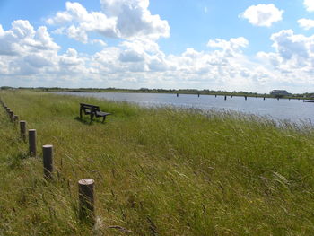 Scenic view of field against sky