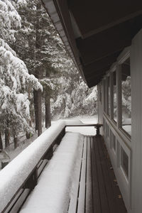 Snow covered deck by trees during winter