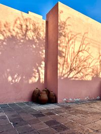 Close-up of tree trunk, shadow on wall