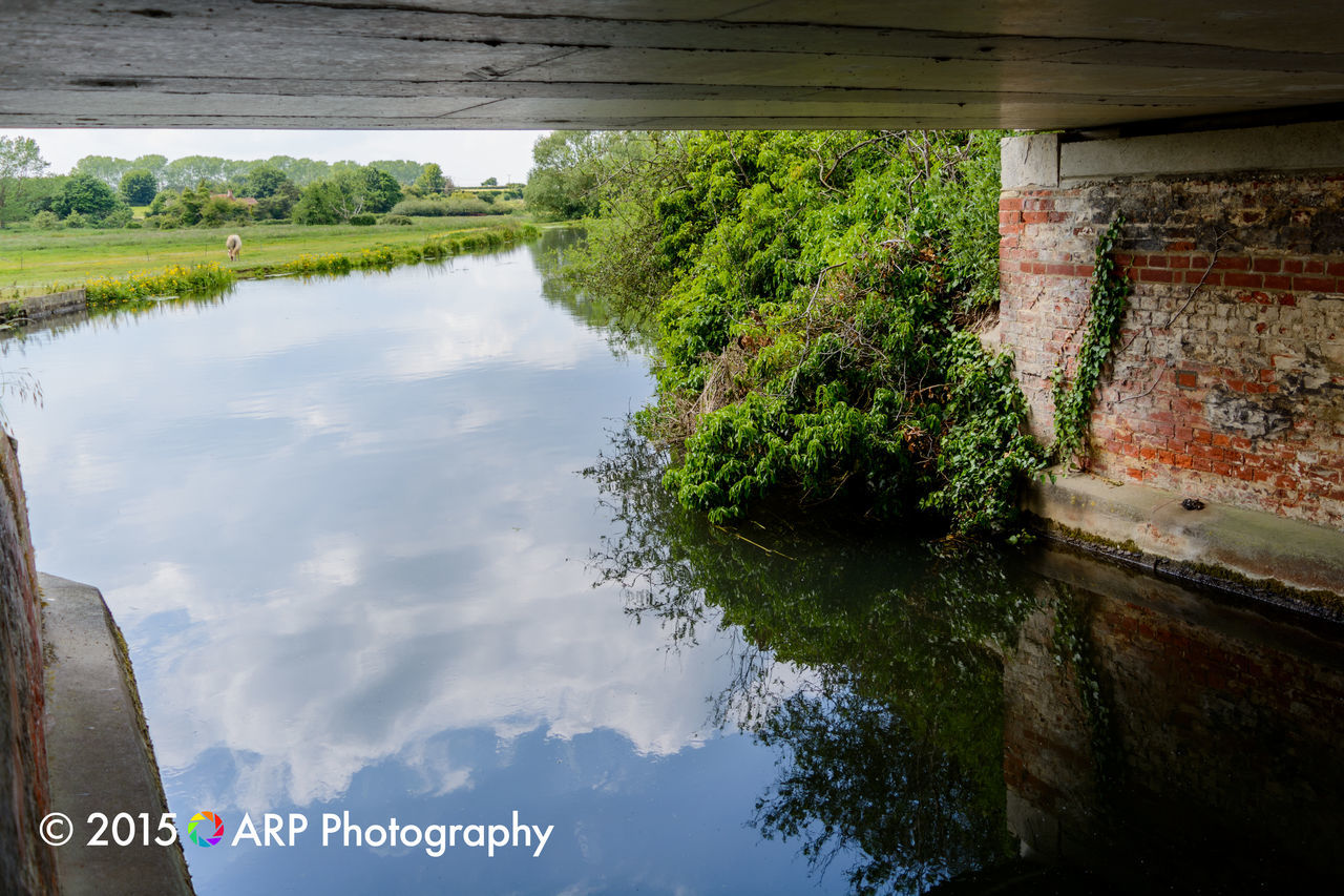 water, reflection, tree, lake, sky, standing water, nature, tranquility, tranquil scene, day, river, scenics, built structure, green color, waterfront, beauty in nature, outdoors, growth, no people, calm