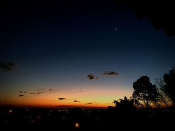 Low angle view of silhouette trees against sky at night