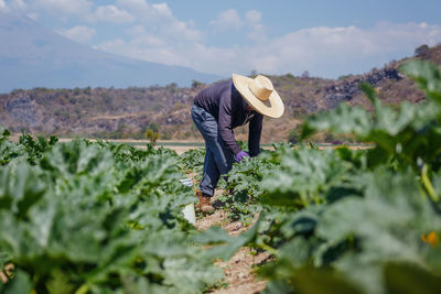 Woman working in vegetable farm