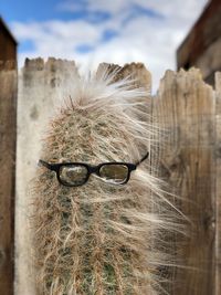 Close-up of sunglasses against sky