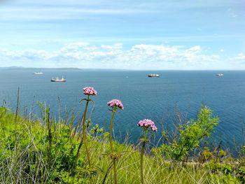 Scenic view of sea against sky