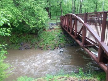 Footbridge over river in forest