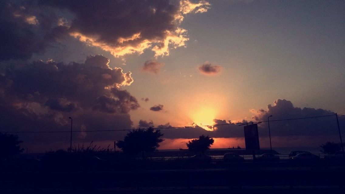 SILHOUETTE OF TREES AT SUNSET