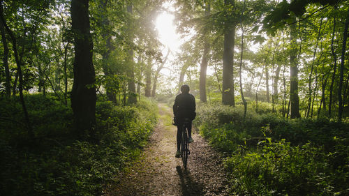 Rear view of man walking in forest