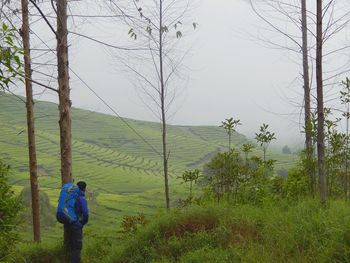 Rear view of man walking on field against sky