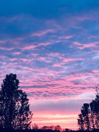 Low angle view of silhouette trees against romantic sky