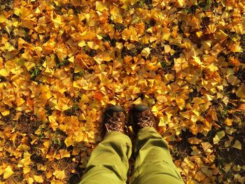 Low section of woman standing on autumn leaves