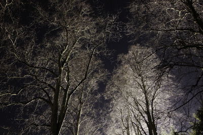 Full frame shot of tree against sky