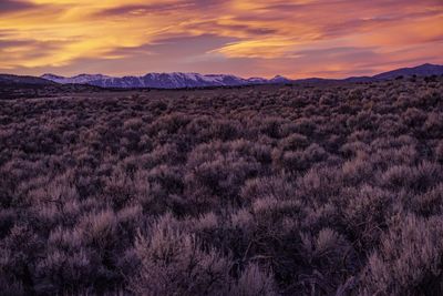 Scenic view of landscape against sky during sunset