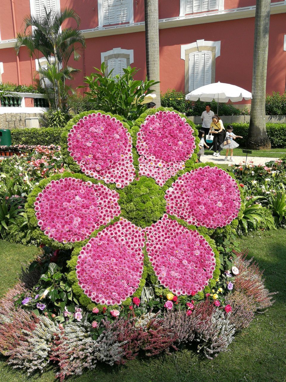 VIEW OF PINK FLOWERING PLANT