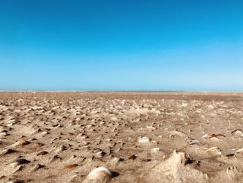 Scenic view of beach against clear blue sky