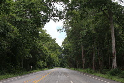 Road amidst trees against sky