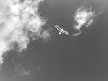 Low angle view of airplane against sky