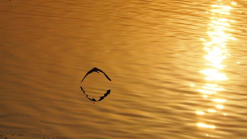 Scenic view of lake at sunset