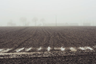 Scenic view of field against sky during foggy weather