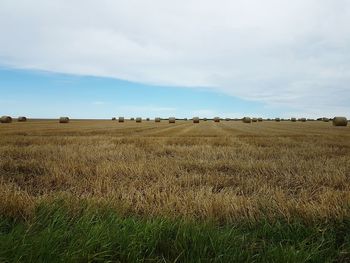 Scenic view of field against sky