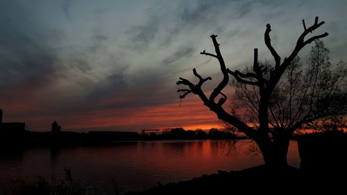 Silhouette bare tree by lake against sky during sunset