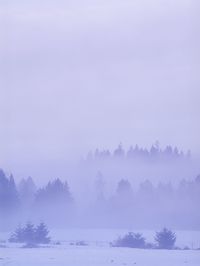 Scenic view of snow covered land against sky