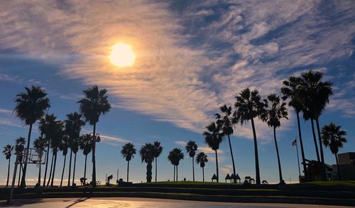 Road by palm trees against sky during sunset