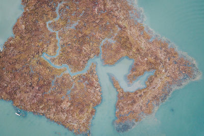 Aerial view of land amidst sea