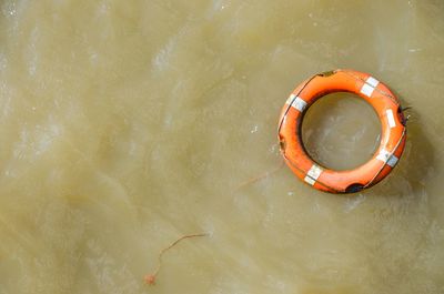 Directly above view of life belt on water