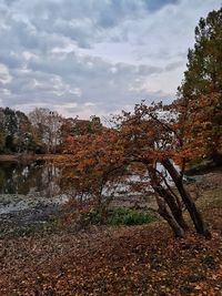 Scenic view of lake in forest against sky during autumn