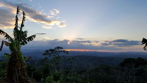 Scenic view of field against sky during sunset