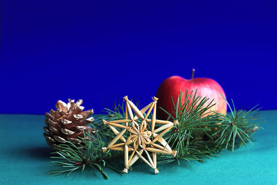 Close-up of fresh blue table against white background