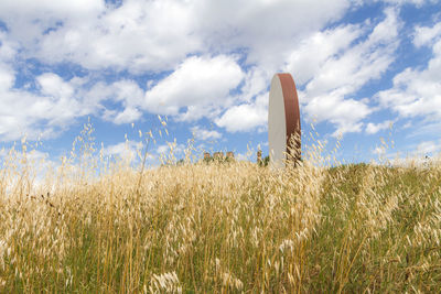 Plants growing on field against sky