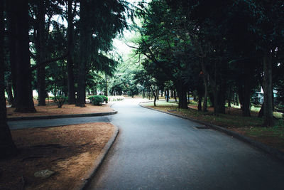 Empty road amidst trees at park