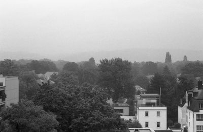 Trees in city against clear sky