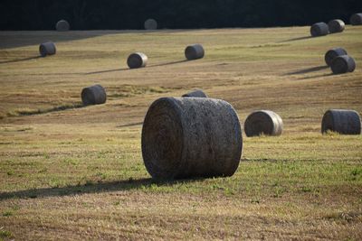 Hay bales on field