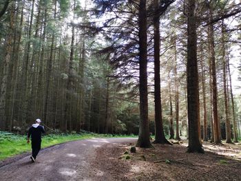 Man standing on road amidst trees in forest