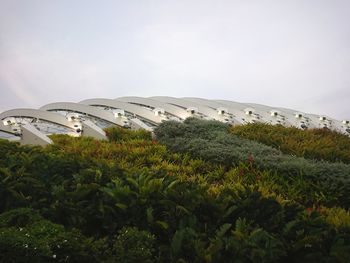 Scenic view of land and trees against sky