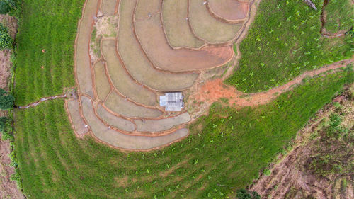 High angle view of agricultural field