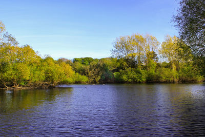 Scenic view of lake in forest against sky