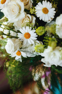 Close-up of white flowering plant