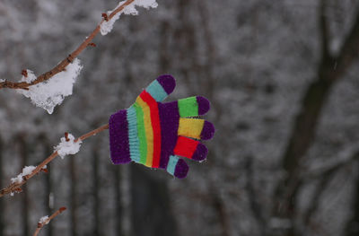 Close-up of multi colored snow