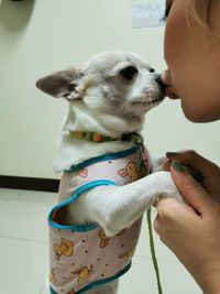 Midsection of woman holding dog at home