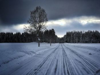 Trees on snow covered field against sky