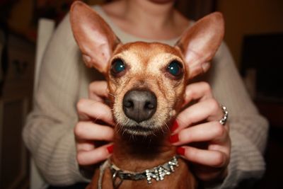 Portrait of dog with woman at home