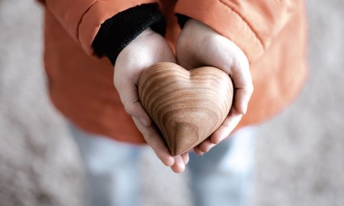 Close-up of hand holding shell