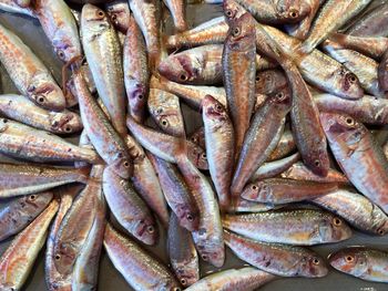 Full frame shot of fish for sale in market