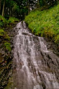 Scenic view of waterfall in forest