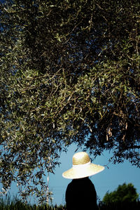 Close-up of tree against sky