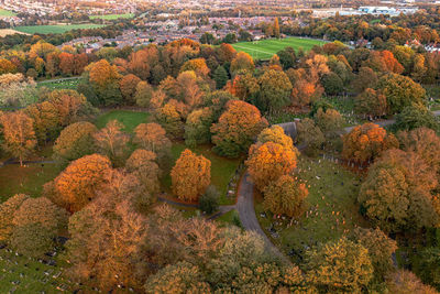 High angle view of trees during autumn